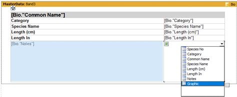  FastReport VCL 6.8.4
